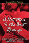 A Hot Man is the Best Revenge Cover
