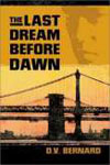Last Dream Before Dawn Cover